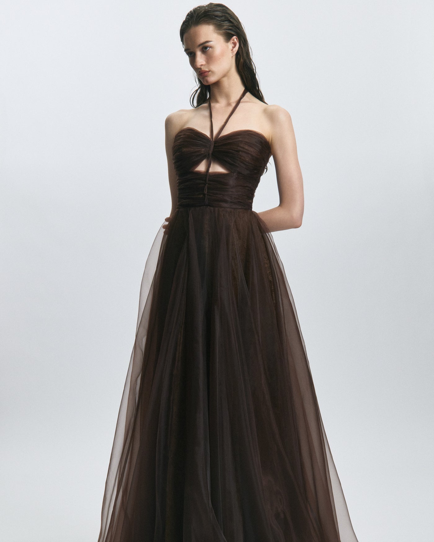 Leon Silk Organza Mocca Dress
