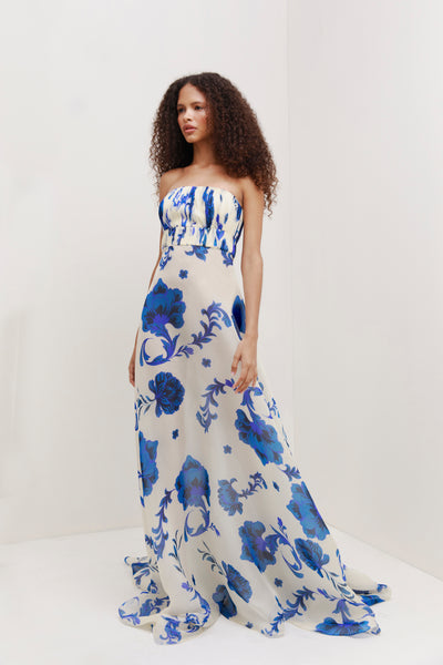 Akoniton Dress