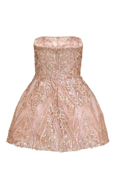 Desert Rose Mini Dress