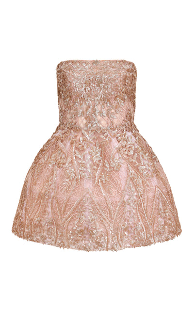 Desert Rose Mini Dress